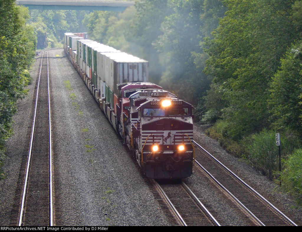 NS 9554